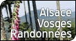 Vosges Alsace : Randonnées en montagne : Balades dans les Vosges et en Alsace