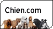Tout sur les Chiens: Races, Standards, Photos. Annonces, Petites Annonces, Alimentation, Santé, Education du Chien et du Chiot et Sport Canin
